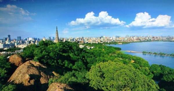 學(xué)習(xí)國外苗木行業(yè)經(jīng)驗(yàn)，搶先了解國內(nèi)市場(chǎng)動(dòng)態(tài)