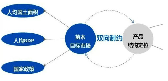 學(xué)習(xí)國外苗木行業(yè)經(jīng)驗(yàn)，搶先了解國內(nèi)市場(chǎng)動(dòng)態(tài)
